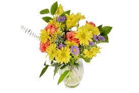We did not find results for: The Best Supermarket Flowers In Dallas D Magazine