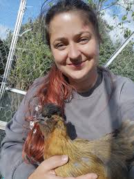 Cats attacking chickens and ducks?