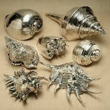 Deniz Kabugundan Dekoratif Sus Yapimi Sus