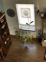 Milili salon and spa provides best spa services in romeoville, il. Alexis Salon Spa 646 S Weber Rd Romeoville Il Hair Salons Mapquest