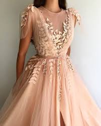 Special Occasion Dresses Vestido De Festa Champagne Evening Dress Long A Line Jewel Neck Cap Sleeves Split Floo In 2020 Event Dresses Pretty Dresses Tulle Prom Dress