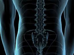 In order to coordinate the movements available in continuum. The Molecules That Tell You How To Grow A Backbone