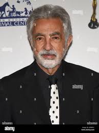 Joe woodward hi-res stock photography and images