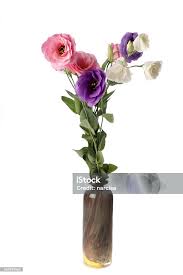 Image result for eustoma lisianthus in vase