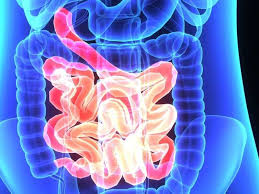 Fever, chills, tachycardia, and tachypnea are common acute manifestations of bacteremia. Bacteremia Risk Higher In Older Patients Hospitalized With Ibd