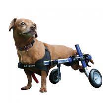 Chariot Canis Cart Liberty Pour Chiens Handicapes