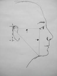How To Draw The Human Face Liberty On The Lighter Side Human Face Learn To Sketch Drawings