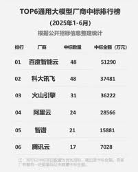2025上半年大模型中标成绩出炉，百度智能云成为大模型“标王”