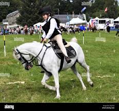 Pony Club Games High Resolution Stock Photography And Images Alamy