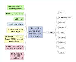 And which master produced it? Cholangiocarcinomas Biliary Tract Cancers Are Often Referred To As Download Scientific Diagram