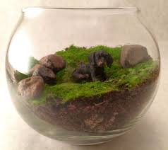 Live Moss Terrarium Animal Fairy Garden With Plastic Black Dachshund Puppy Miniature Figurine Moss Terrarium Fairy Garden Terrarium