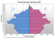 Das königreich lesotho, früher basutoland, ist eine parlamentarische monarchie im südlichen afrika. Bevolkerungspyramide Die Graphische Darstellung Der Altersstruktur