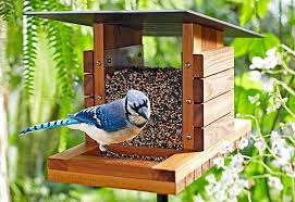 Bird Feeder Pole For Deck Lowes Bird House Wooden Bird Feeders Homemade Bird Feeders Bird Houses Diy
