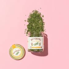 Image result for Verbena × teasii