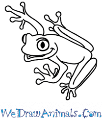 Connect the two ovals with a line that dips down in the center. How To Draw A Cartoon Tree Frog
