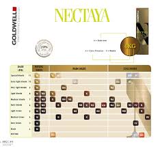 Check spelling or type a new query. Irwin Vafiadisa Kitchen Flavor Beauty 8kg Goldwell Topchic Color 6nn Goldwell Topchic 6nn Dark Blonde Extra Tube Hair Color Beauty Stop Online Uber 1 000 000 Kunden Schnelle Lieferung Mehr Als 25 000 Produkte
