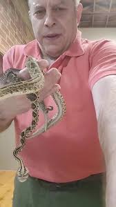 Jeff Lebowitz Snake Handler