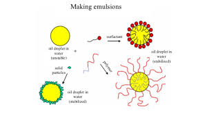 Lecithin is a natural extract of the oil found in soybeans, and it's also present in egg yolks. What Is An Emulsion Detailingwiki The Free Wiki For Detailers