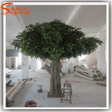Whether growing indoors or outdoors, ficus trees are beautiful, low maintenance plants. Pin On Peter Pan Birthday Party Ideas