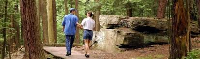 Don't miss this great destination in northeastern pa. Campground Details Salt Springs State Park Pa Pennsylvania State Parks