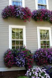 Check out these planter ideas to elevate your decor. 17 Best Balcony Railing Planters Ideas Window Box Window Boxes Container Gardening