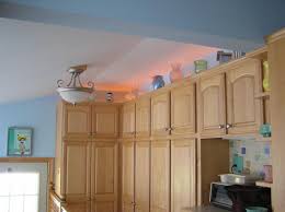 Exterior Lighting Designs With Rope Lights On Winlights Com Deluxe Interior Lighting Design