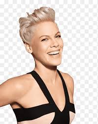 We did not find results for: P Nk Person Alecia Moore S Color Hair Png Pngegg