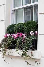 More Boxwood Filled Window Boxes Window Box Flowers Window Box Plants Window Boxes