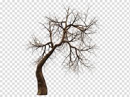 Image result for Horror fiction