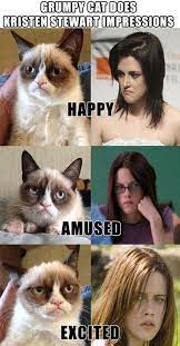 Check spelling or type a new query. Pin By Dulce Garcia Charles On Funny Grumpy Cat Meme Grumpy Cat Humor Grumpy Cat