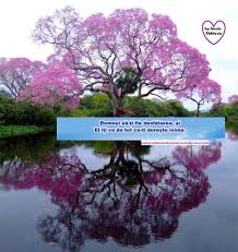 Hey, cauti cele mai alese mesaje de incurajare? Arhive Mesaje Crestine Video Insula Ekklesia