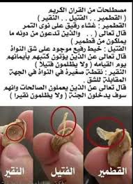 Pin On حياة القلوب وربيعها هو القرأن