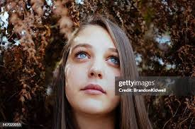 312 Brandon Mull Stock Photos, High-Res Pictures, and Images