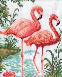 Flamingos