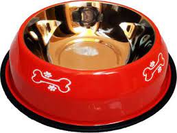 10% coupon applied at checkout save 10% with coupon. Petshop7 Stylish Regular Anti Skid Dog Food Bowl Dog Bowl 2800ml White Xtra Large Round Stainless Steel Pet Bowl Price In India Buy Petshop7 Stylish Regular Anti Skid