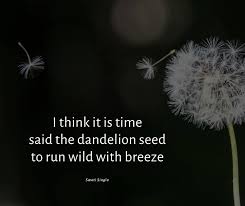 These nature poems highlight the loveliness spring. Haiku Nature As A Poet Nature Connections