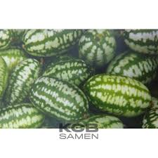 Image result for Zehneria scabra