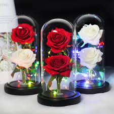 Forever rose in glass dome uk. Real Red Forever Rose In Glass Dome Beauty And The Beast Pink Rose Disney Themed Memorial Engagement Wedding Mother S Day Flower Gift 2019 Home Decor Floral Arrangements Delage Com Br