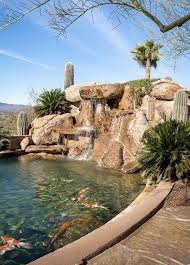 Maybe you would like to learn more about one of these? Koi 101 What You Need To Know Phoenix Home Garden