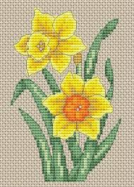 Beadwork patterns cross stitch flowers xstitch daffodil flower daffodils cross stitch floral cross stitch cross stitch rose vintage embroidery. Amanda Gregory Cross Stitch Design Free Daffodils Cross Stitch Chart