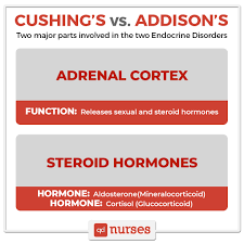 Study Guide Cushing S Vs Addison S Disease Qd Nurses