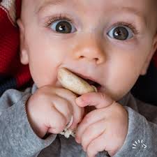 Iris Root for Teething