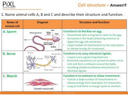Maybe you would like to learn more about one of these? Aqa Topic Cell Biology Ppt Download
