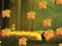 Fall Is In The Air Animated Gif Love You Images I Love You Images