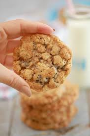 Gemma S Best Ever Oatmeal Cookies Recipe Bigger Bolder Baking Recipe Oatmeal Cookie Recipes Raisin Cookies Chewy Cookie
