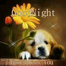 Good Night Sweet Dreams My Friend And Rest Well May God Bless You And Your Family Good Night Friends Good Night Blessings Good Night Image