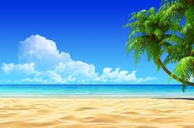 Want to discover art related to cure_summer? Tropical Beach Beaches Nature Background Wallpapers On Desktop Nexus Image 780543