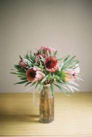 Bawkbawkbawk Photo Bomb Protea Flower Pretty Flowers Flower Arrangements
