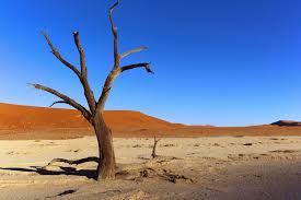 خلفية الاسبوع رقم 30 مداد الجليد Background High Resolution