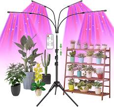 Check spelling or type a new query. Buy Grow Light With Stand Ambor Floor Grow Lights For Indoor Plants Adjustable 120w Red Blue Spectrum Plant Grow Lamp With Timer Dual Controllers And Auto On Off Online In Turkey B08jvlgzj5